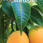 ഹംസധ്വനി ഓഗസ്റ്റ്  2017