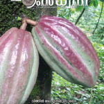 ഹംസധ്വനി ജൂലൈ 2018