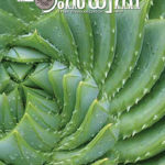 ഹംസധ്വനി മാര്‍ച്ച്  2018