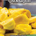 ഹംസധ്വനി നവംബര്‍ 2019